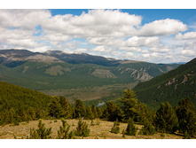 _DSC0175.jpg