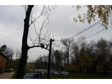 P1000321_.JPG