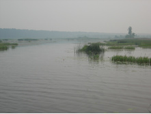 07.07.2010 7:56:39