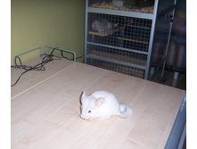 07.07.2010 10:29:33