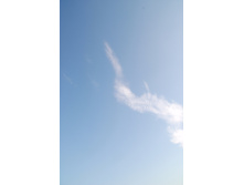 04.08.2008 18:40:05
