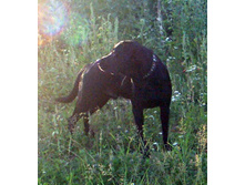 08.07.2010 1:35:16
