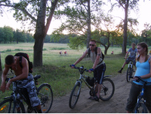 08.07.2010 2:31:06