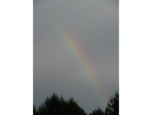 08.08.2008 9:58:50