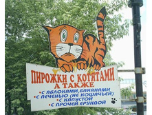 08.08.2008 11:05:40