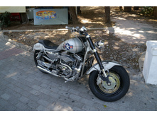 Harley Davidson