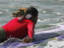 08.07.2010 16:33:34