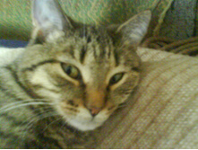 04.04.2012 22:58:10