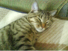 04.04.2012 22:59:06