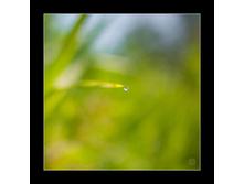 09.07.2010 1:53:07