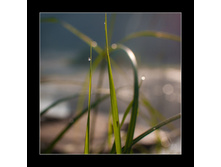 09.07.2010 1:56:38