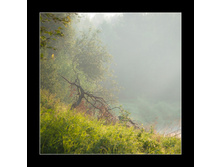 09.07.2010 1:56:47