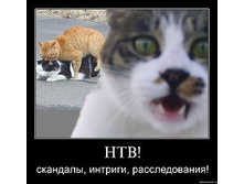 300px-��������_�������_�������������.jpg
