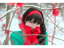 4.gif