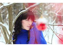 5.gif