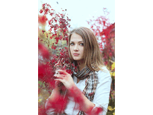 11.gif