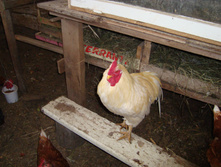 DSC04062.JPG