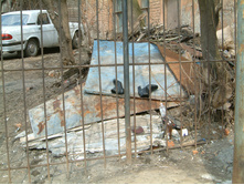 DSCF0072