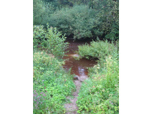 18.08.2008 20:52:02