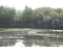 18.08.2008 22:29:09