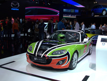 SUN_2342.NEF.jpg
