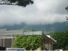 ��������� 2008
