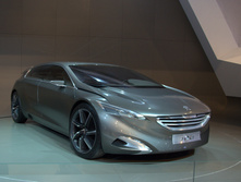 SUN_2422.NEF.jpg