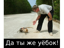 28.10.2011 20:38:19