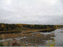 IMG_6650.JPG