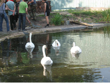 26.08.2008 21:56:39