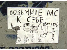 28.08.2008 8:47:02