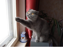 DSC08921.JPG