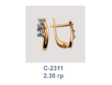 �2311.png