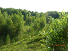 28.08.2008 23:08:26