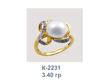 �2231.png