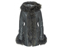 13993 �.