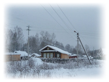 P1020234.JPG