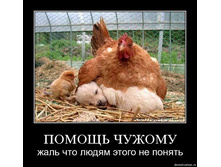 16.07.2010 14:12:35