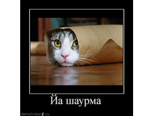 17.07.2010 15:56:04