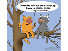 17.07.2010 15:56:59