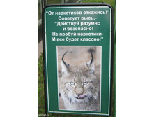03.09.2008 9:26:08