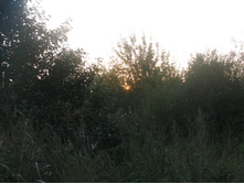 07.09.2008 22:59:34