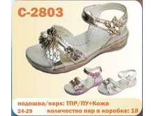 C-2803.jpg