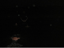18.07.2010 12:19:51