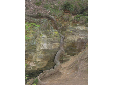 07.09.2008 23:06:42