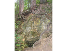 07.09.2008 23:06:46