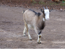 DSCF7875.JPG