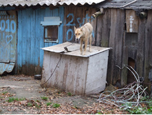 DSCF7887.JPG