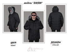 dikson.jpg 5200 �