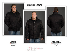 kedr.jpg2950  �